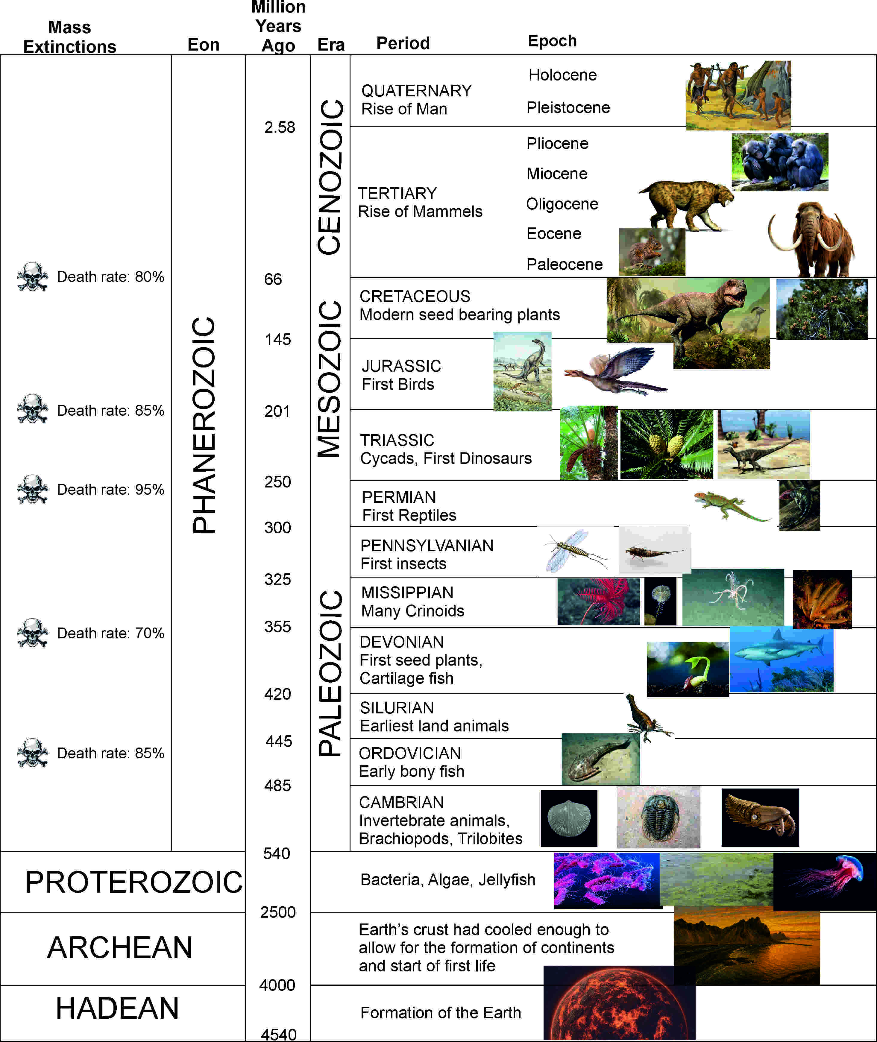 Geological Time Scale from Reasoned Perspectives