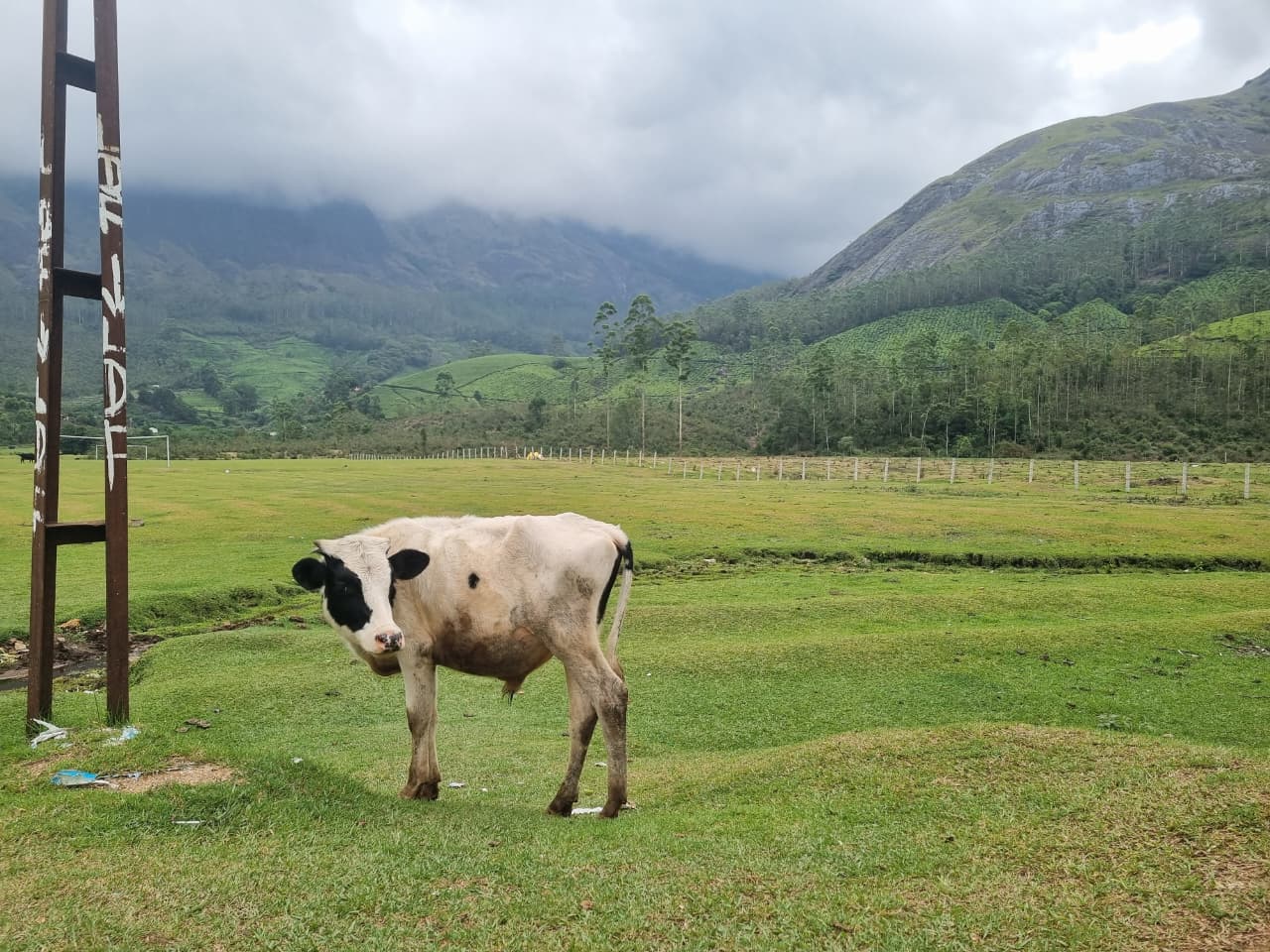 The football ground and green meadows of Silent valley estate, Munnar.